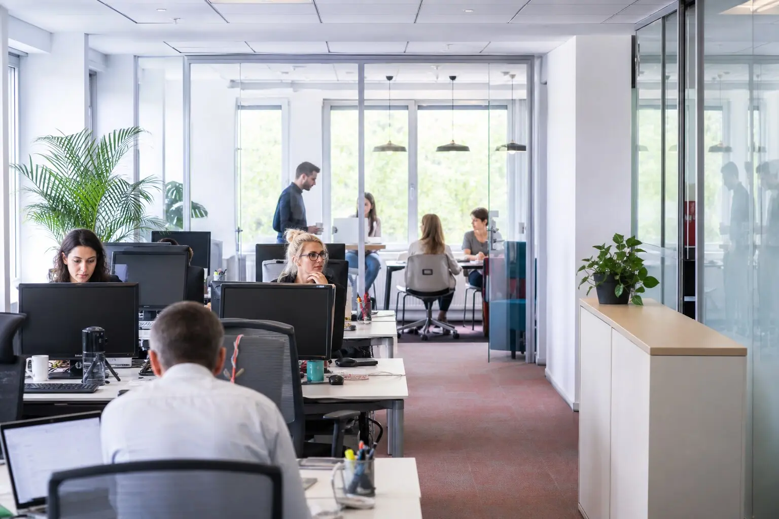 Bureaux et professions libérales avec circulations communes